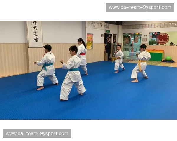 空手道拉伸：从柔韧到爆发，开启你的武道新高度